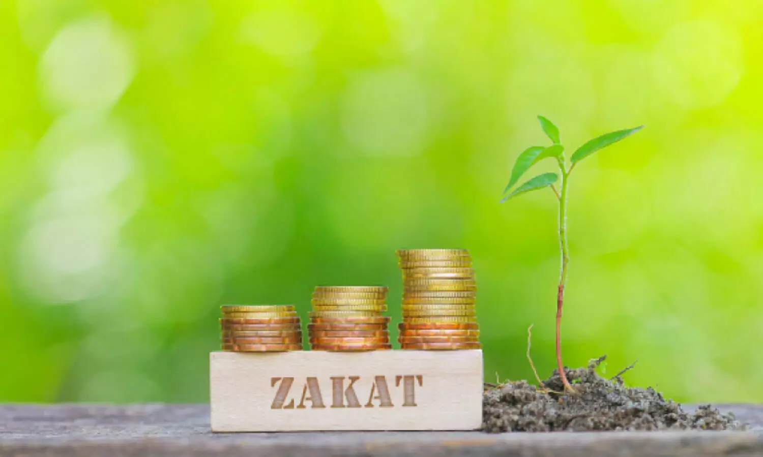 Collection of Zakat at 31 places
