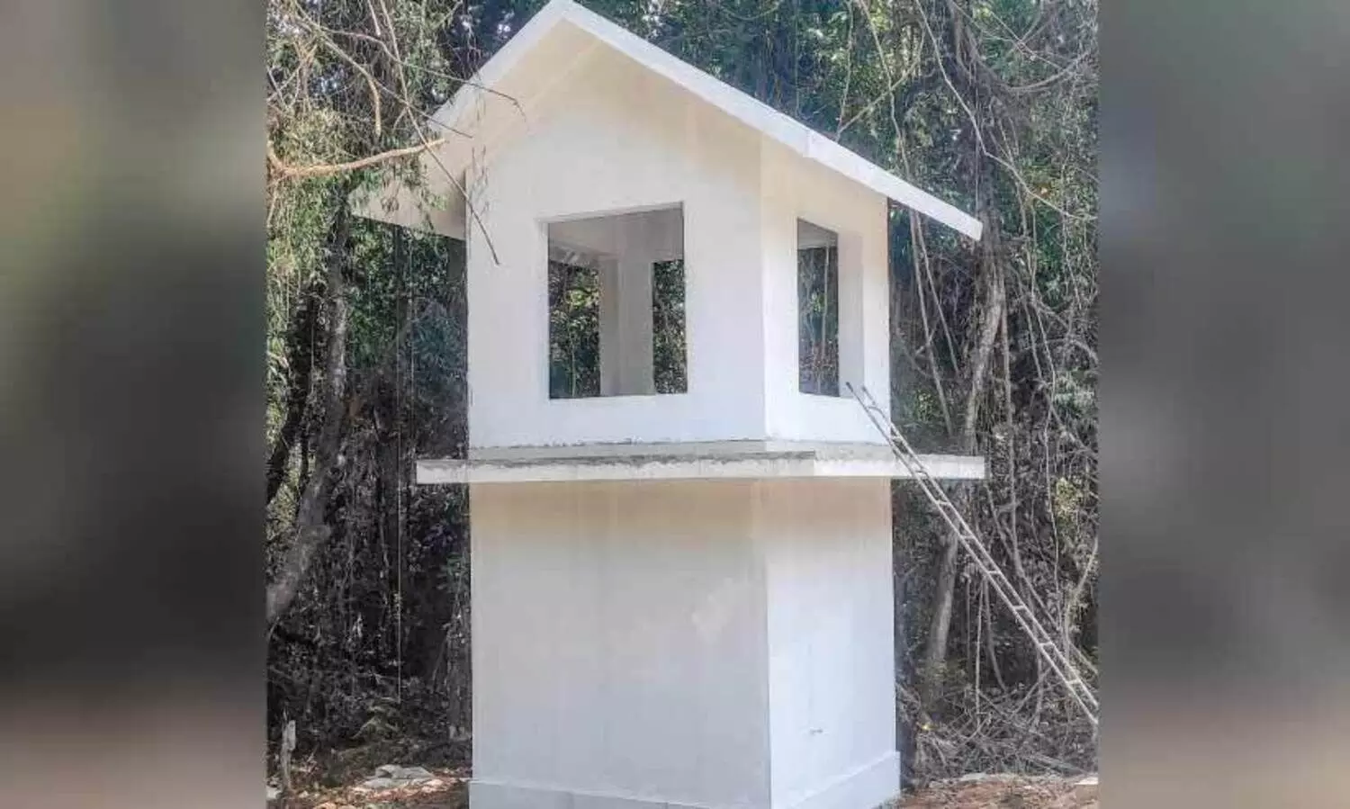 കാലിക്കറ്റ് സര്‍വകലാശാല കാമ്പസില്‍ സാമൂഹികവിരുദ്ധ ശല്യം തടയാന്‍ സെക്യൂരിറ്റി പോസ്റ്റുകള്‍