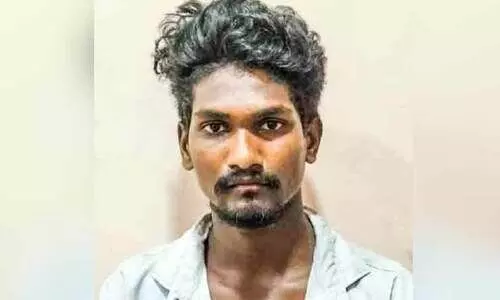 പട്ടിമറ്റത്ത് വൻ കഞ്ചാവ് വേട്ട; ഒഡിഷ സ്വദേശി പിടിയിൽ