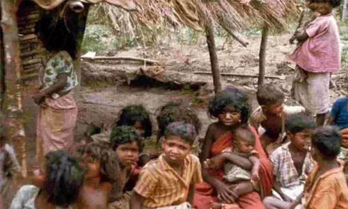 ഭൂരഹിത ആദിവാസികൾക്ക് കരിമ്പയിൽ ഒമ്പത് ഏക്കർ ഭൂമി