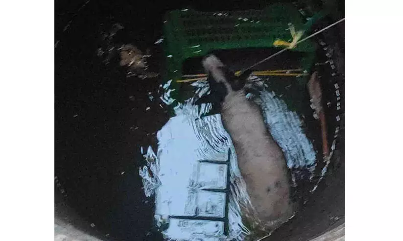 കിണറ്റില് വീണ തെരുവുനായയെ ഫയര്ഫോഴ്സ് സംഘം രക്ഷപ്പെടുത്തി കിണറ്റില് വീണ തെരുവുനായയെ ഫയര്ഫോഴ്സ് സംഘം രക്ഷപ്പെടുത്തി