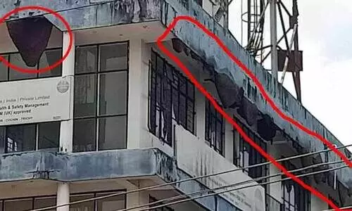 കിളിമാനൂർ കെ.എസ്.ആർ.ടി.സി ഡിപ്പോയിൽ തേനീച്ച ആക്രമണം; നിരവധി പേർക്ക് കുത്തേറ്റു