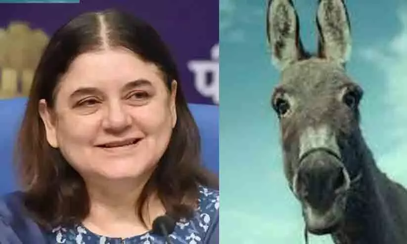 Maneka Gandhi Maneka Gandhi