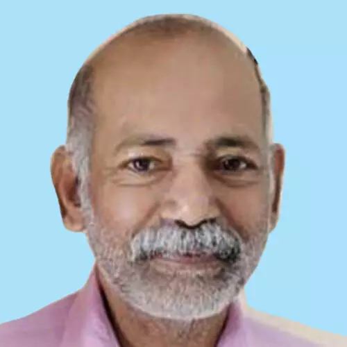 വി​ൽ​സ​ൺ