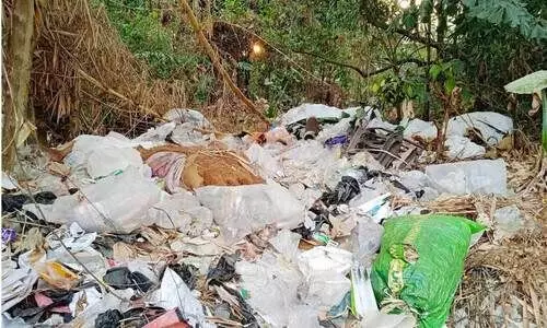 തലശ്ശേരി നഗരം മാലിന്യമുക്തമല്ല...