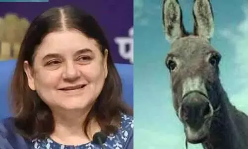 Maneka Gandhi