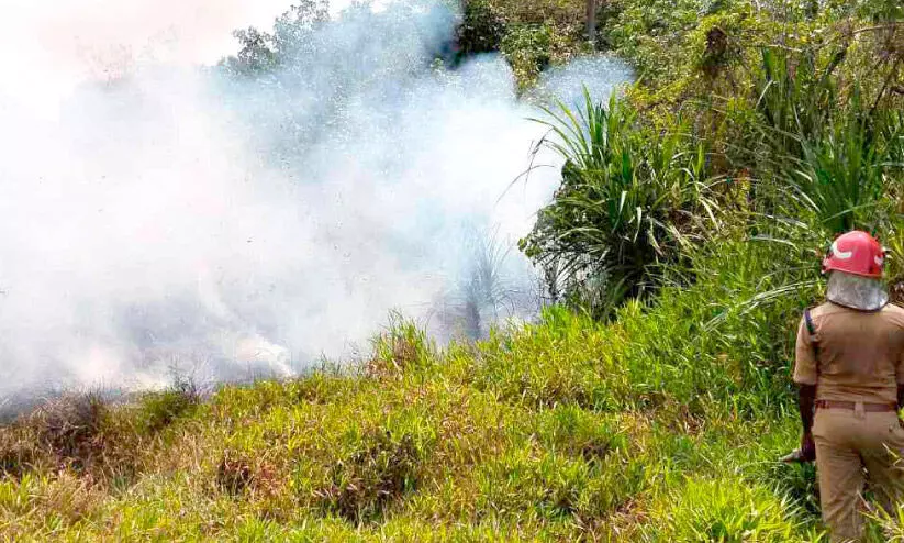 മറവൻതുരുത്ത് പാടശേഖരത്തിൽ വൻ തീപിടിത്തം മറവൻതുരുത്ത് പാടശേഖരത്തിൽ വൻ തീപിടിത്തം