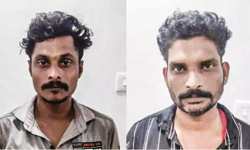 ക​ഞ്ചാ​വു​മാ​യി ര​ണ്ടുപേ​ർ പി​ടി​യി​ൽ