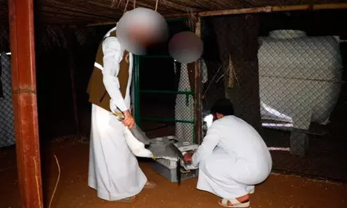 പ​ക്ഷി വേ​ട്ട​ക്കാ​ർ​ക്കെ​തി​രെ ന​ട​പ​ടി; 755 ഉ​പ​ക​ര​ണ​ങ്ങ​ൾ പി​ടി​ച്ചെ​ടു​ത്തു