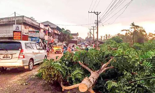 local news local news