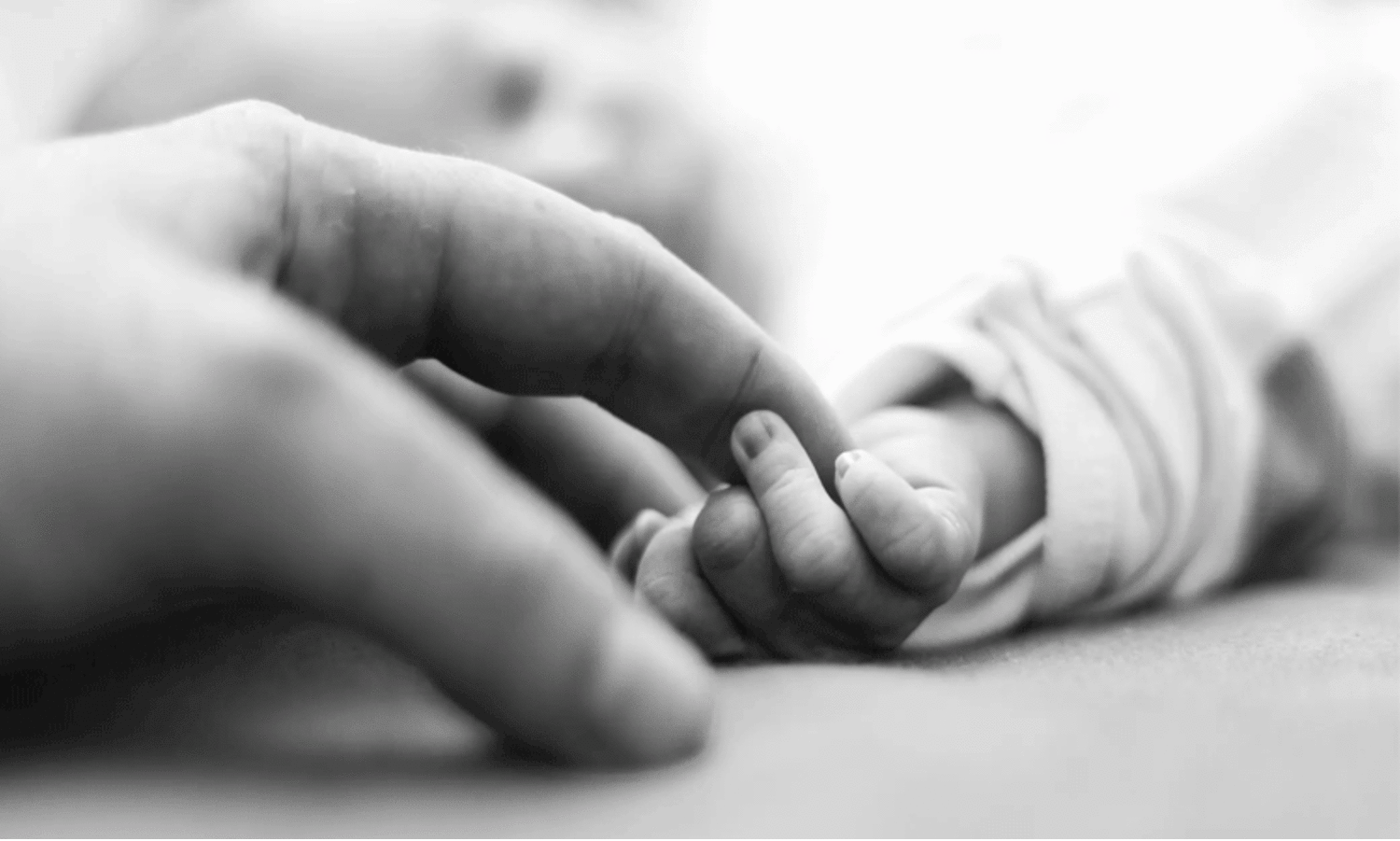 Bodies of 2 newborns found in drain in Telanganas Kamareddy