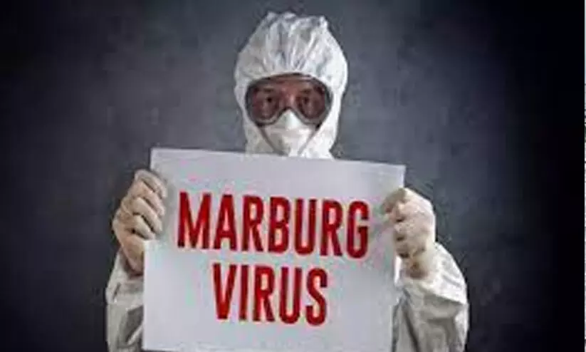 marburg virus