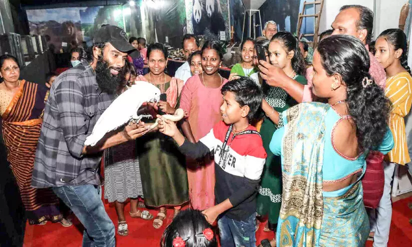 Exotic species of parrot