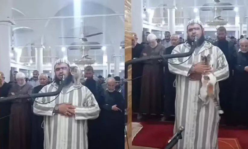 തറാവീഹ് നമസ്കാരത്തിനിടെ ഇമാമിന്റെ ദേഹത്ത് കയറി ഉമ്മവെച്ചു; വൈറലായി വികൃതി പൂച്ച -Video തറാവീഹ് നമസ്കാരത്തിനിടെ ഇമാമിന്റെ ദേഹത്ത് കയറി ഉമ്മവെച്ചു; വൈറലായി വികൃതി പൂച്ച -Video