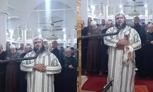 തറാവീഹ് നമസ്കാരത്തിനിടെ ഇമാമിന്റെ ദേഹത്ത് കയറി ഉമ്മവെച്ചു; വൈറലായി വികൃതി പൂച്ച -Video