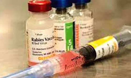 rabies vaccine rabies vaccine
