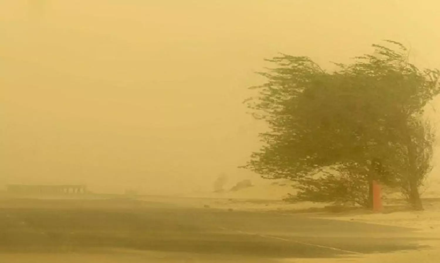 15, 16 തീ​യ​തി​ക​ളി​ല്‍  മ​ഴ​ക്കും കാ​റ്റി​നും സാ​ധ്യ​ത