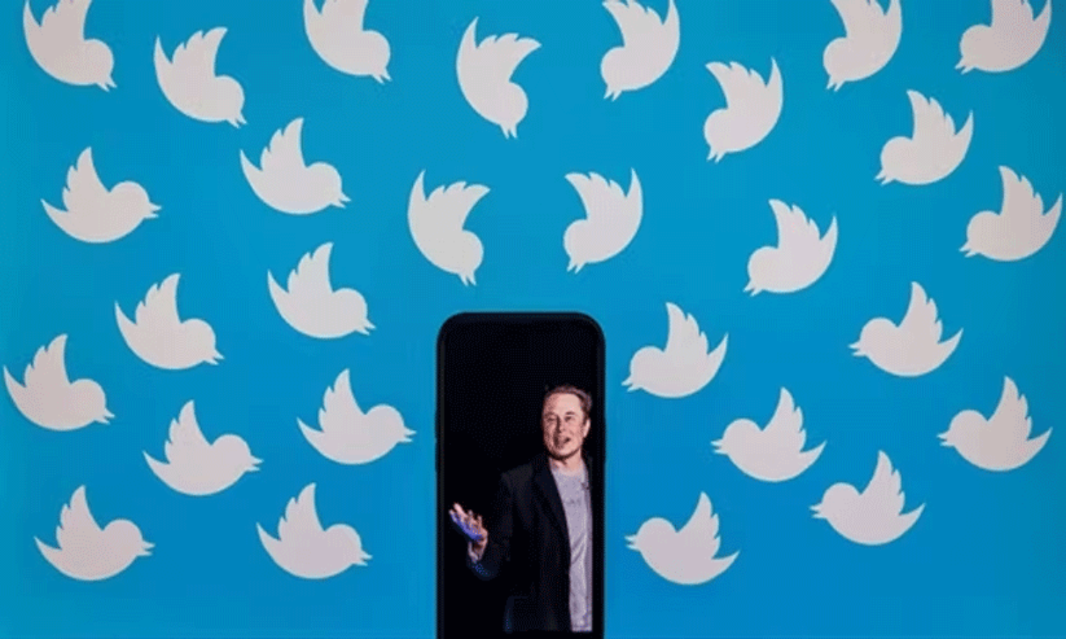Twitter Bird is back! Musk reinstates logo days after replacing with Doge meme