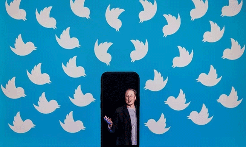 Twitter Bird is back! Musk reinstates logo days after replacing with Doge meme