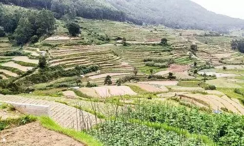 വ​ട്ട​വ​ട​യി​ൽ വെ​ളു​ത്തു​ള്ളി​ക്കാ​ലം