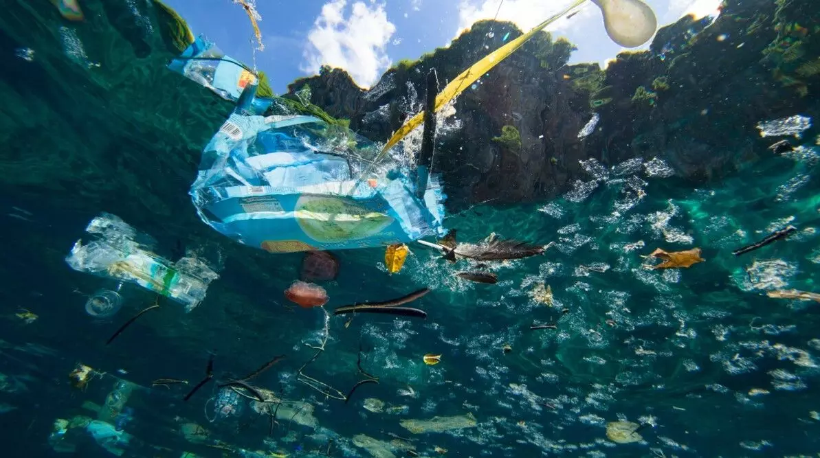 വേമ്പനാട് കായല്‍ ശുചീകരണം; ആദ്യദിനം നീക്കിയത് 11 ടണ്‍ പ്ലാസ്റ്റിക് മാലിന്യം