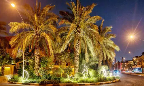 ച​ന്ദ്ര​നും ന​ക്ഷ​ത്ര​ങ്ങ​ളും നി​റ​ഞ്ഞ് തെ​രു​വു​ക​ളും വീ​ടും