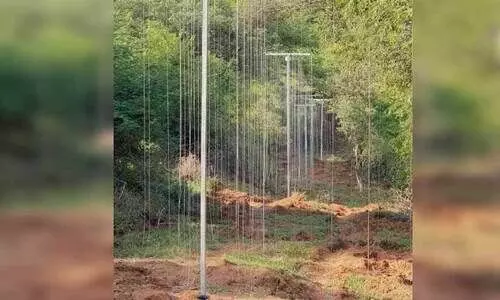 പയ്യാവൂരിൽ കർണാടക അതിർത്തിയിൽ സൗരോർജ തൂക്കുവേലിയായി