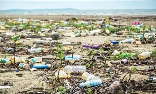 പ്ലാസ്റ്റിക്കിനോട് നോ പറയാം, ഭൂമിയെ സംരക്ഷിക്കാം പ്ലാസ്റ്റിക്കിനോട് നോ പറയാം, ഭൂമിയെ സംരക്ഷിക്കാം