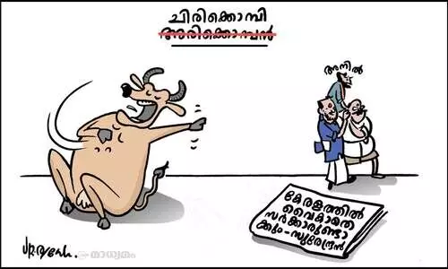 അനിൽക്കൊമ്പൻ