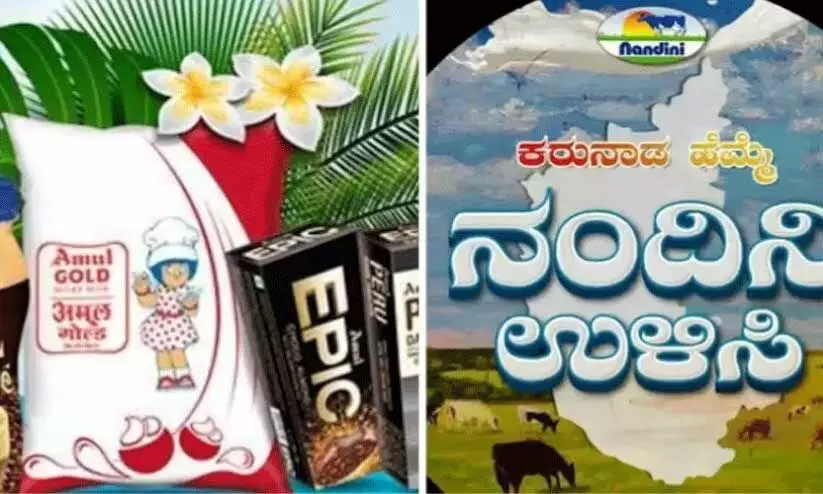 അമുലിനെ ചൊല്ലി വിവാദം; സമൂഹമാധ്യമങ്ങളിൽ ഗോബാക്ക് കാമ്പയിൻ