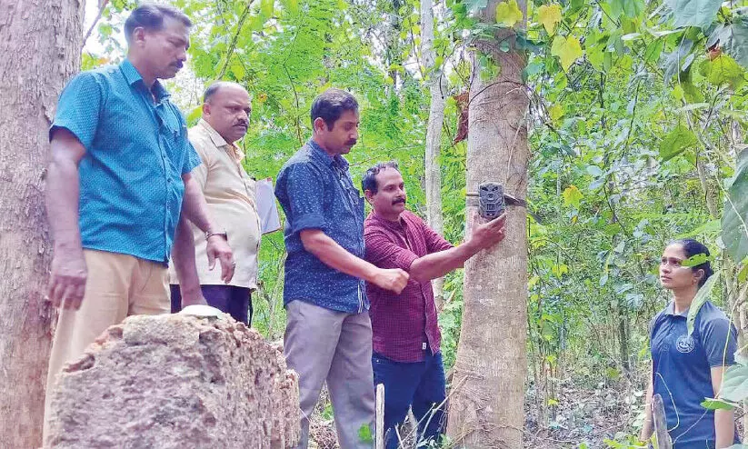 പു​തു​രു​ത്തി​