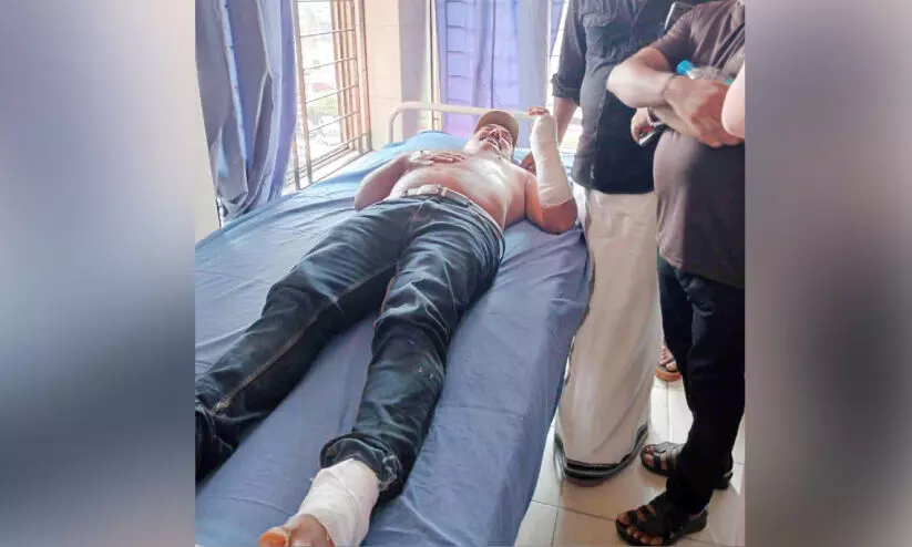 Wild boar attack Wild boar attack