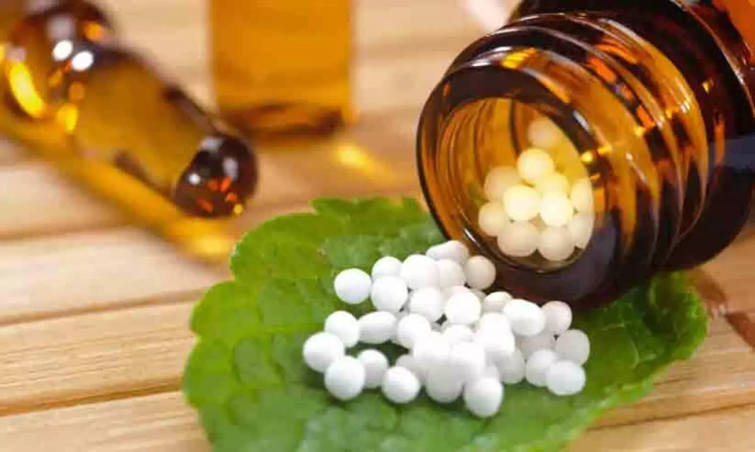 World homeopathy Day
