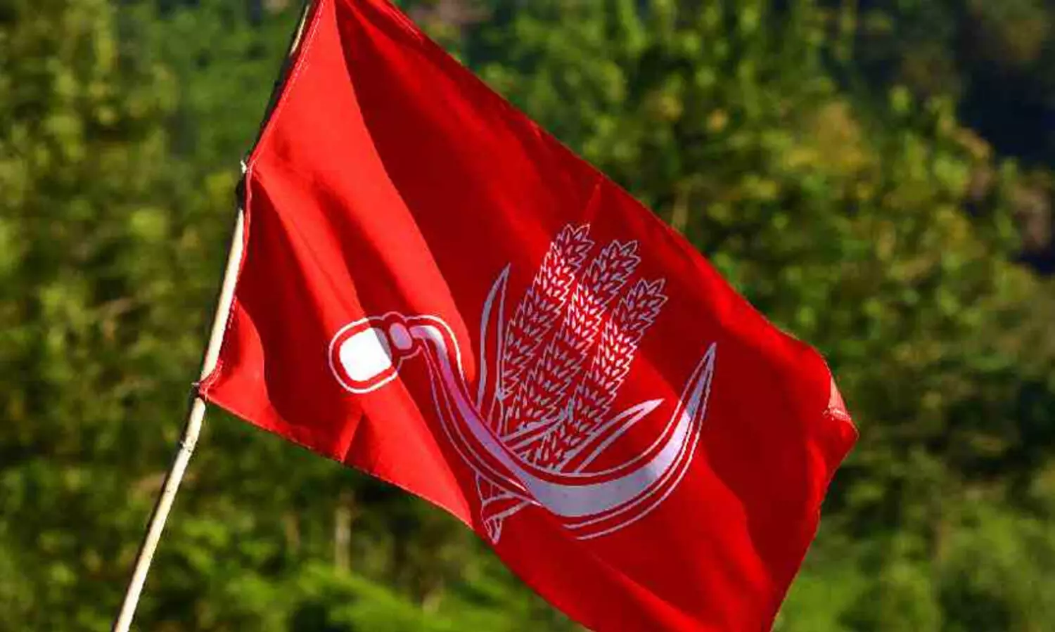 cpi flag