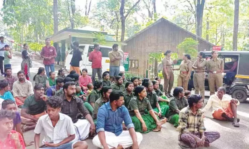അരിക്കൊമ്പന് വഴിയൊരുക്കാനുള്ള വനംവകുപ്പ് ശ്രമം വാഴച്ചാലിൽ നാട്ടുകാർ തടഞ്ഞു