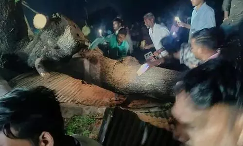 Maharashtra Temple accidant