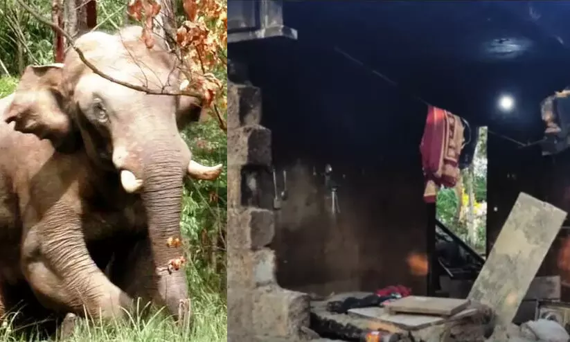 Arikomban Attack Arikomban Attack