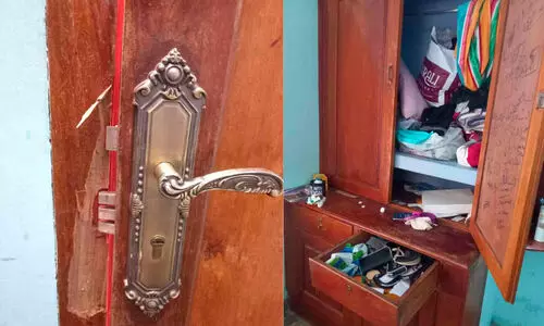 theft case theft case