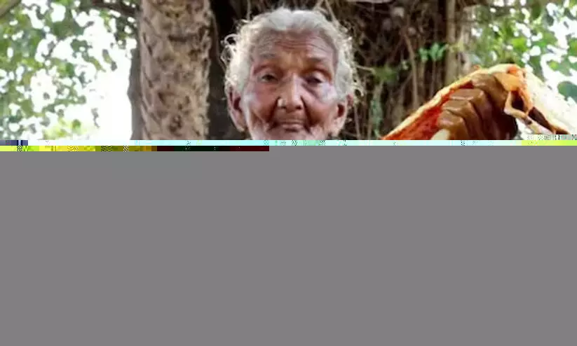 snake curry snake curry