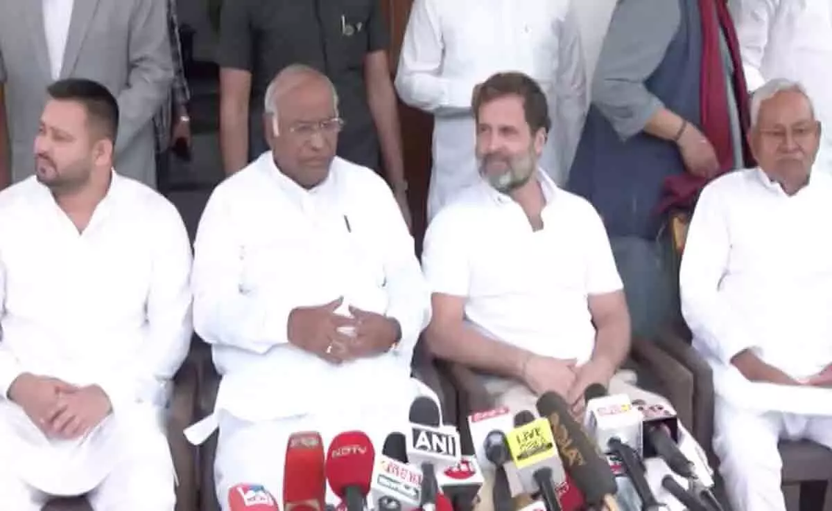 Rahul Gandhi, Nitish Kumar Meet