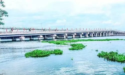 Tanneermukkam Bund