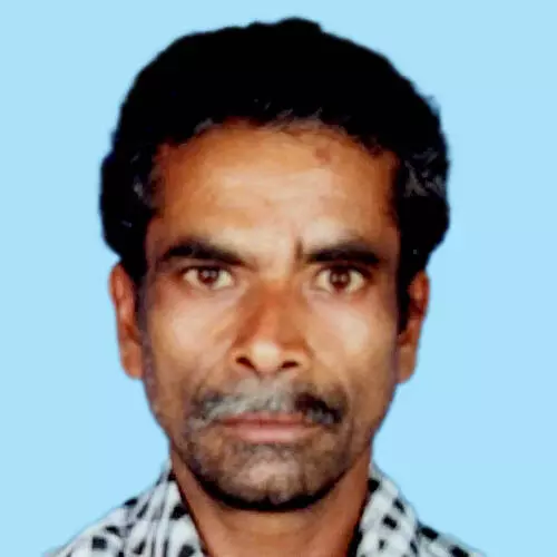 മാ​ങ്ങ വ​ലി​ക്കു​ന്ന​തി​നി​ടെ വീ​ണ് കു​ടും​ബ​നാ​ഥ​ൻ മ​രി​ച്ചു