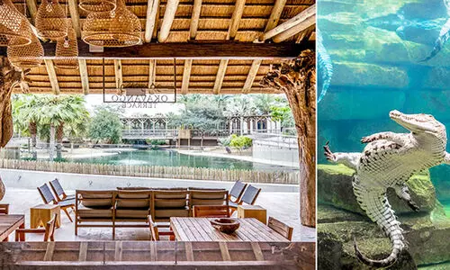 മു​ത​ല​ക​ളെ കാ​ണാം; ‘ക്രോ​ക്ക​ഡൈ​ൽ പാ​ർ​ക്ക്’ 18ന് ​തു​റ​ക്കും