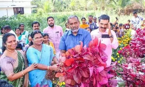 Muhammad CMS LP School Muhammad CMS LP School