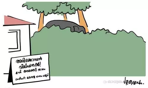 അരിക്കൊമ്പൻ