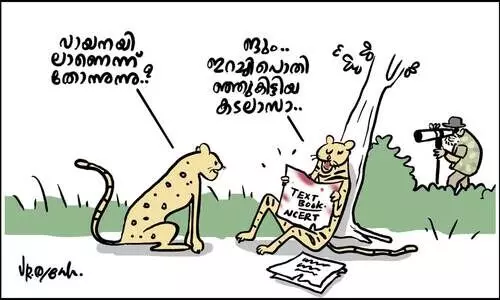 കടലാസുവില!