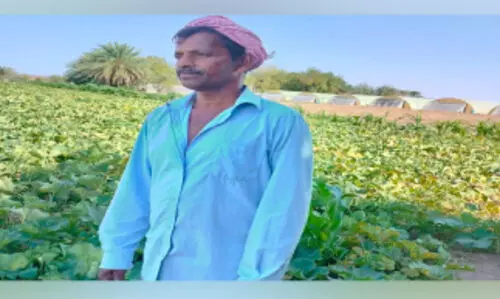 വ്യ​ത്യ​സ്ത​മാ​ണ് ഉ​സ്മാ​ന്‍റെ കൃ​ഷി​യി​ട​​ത്തി​ലെ ഇ​ഫ്താ​ർ