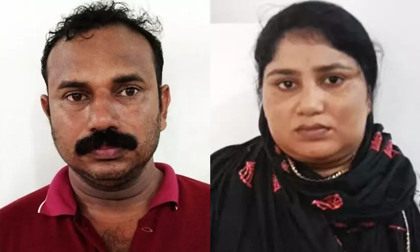 honey trap honey trap