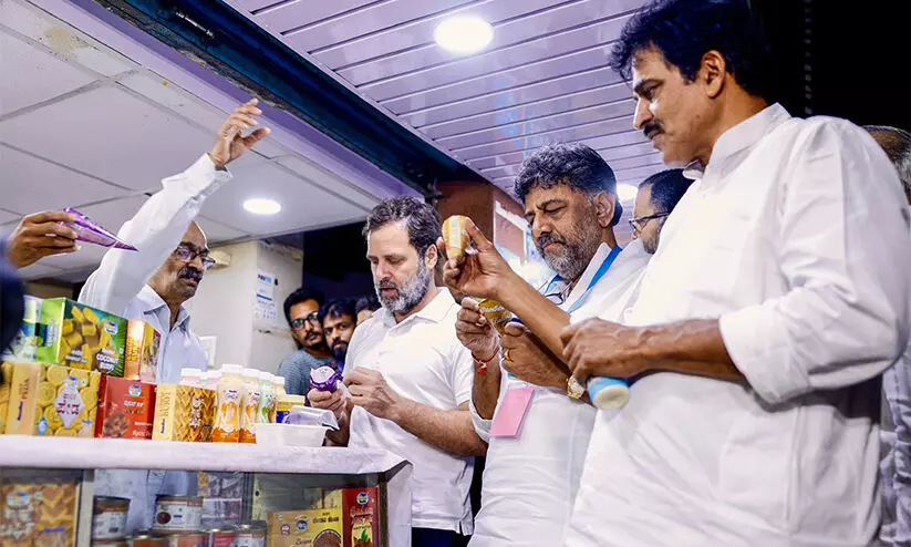 rahul gandhi-nandini