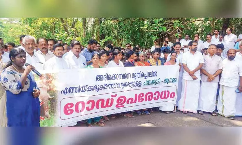 അരിക്കൊമ്പനെ മുതിരച്ചാലിൽ എത്തിക്കരുത്; ആനമല റോഡ് ഉപരോധിച്ചു
